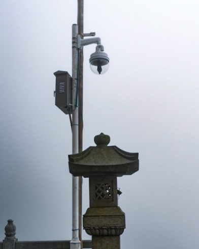 industry_live_anhui_img